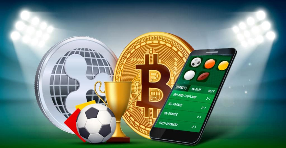 Explore the Excitement of Popular Casino Live Shows