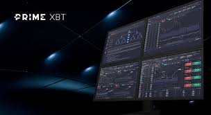 Understanding PrimeXBT Privacy Policy Your Data, Our Commitment