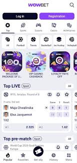 Казино на русском языке - Все, что вы хотели знать