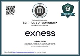 Understanding Exness Address Verification 2