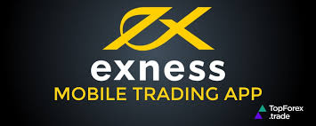 Understanding the Advantages of IB Broker Exness